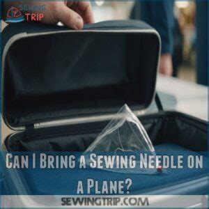 Can I Bring Embroidery Needles on a Plane? And Why Do Airports Smell Like Pretzels?